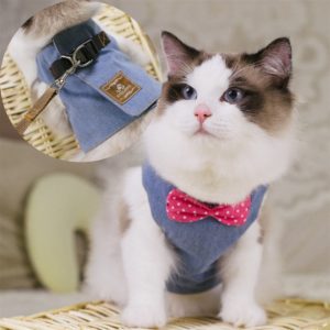 Pet & Accessories