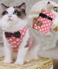 Vest-style Chest Strap For Cats