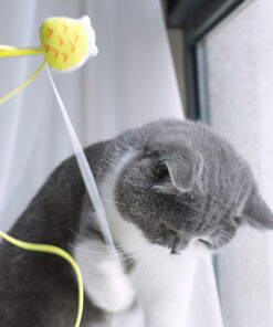 Funny Cat Stick Sounding Bells Tassels Fruit Shapes Relieve Boredom