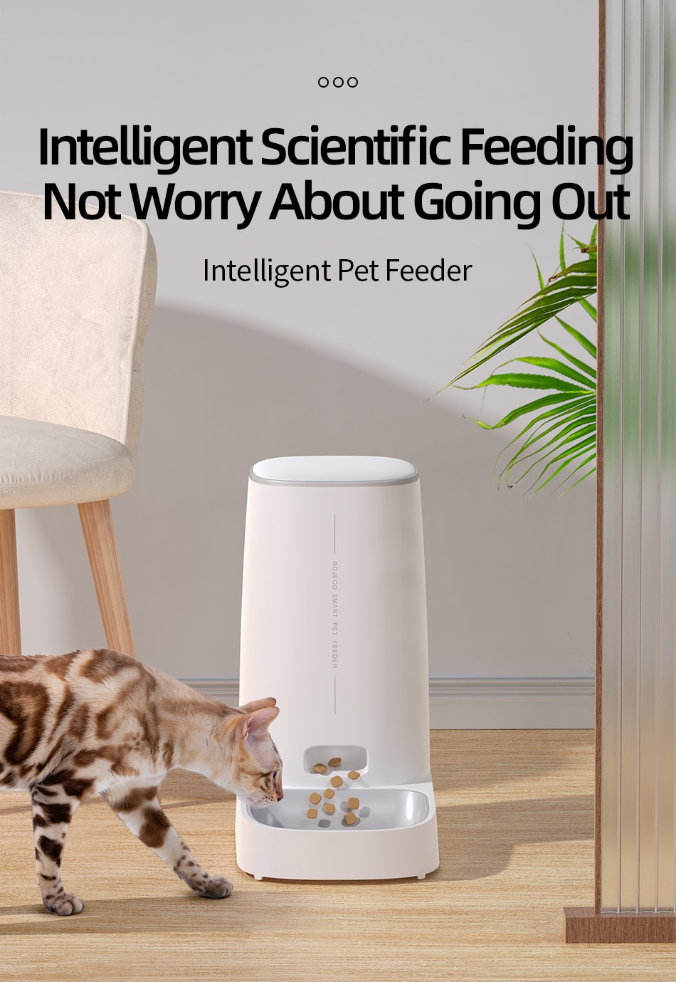 ROJECO Automatic Cat Feeder Pet Smart Cat Food Kibble Dispenser Remote Control WiFi Button Auto Feeder For Cats Dog Accessories